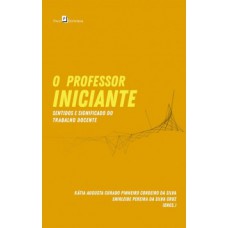 O professor iniciante