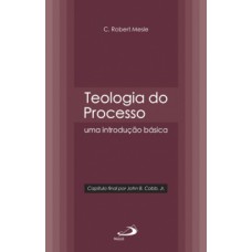 Teologia do processo