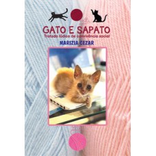 Gato e sapato