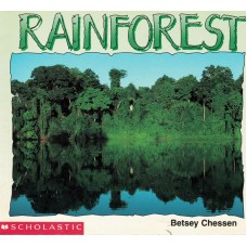Rainforest