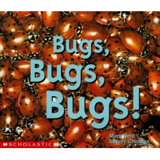 Bugs, bugs, bugs