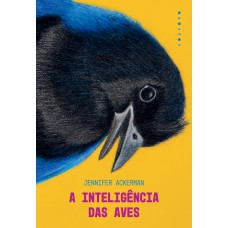 A inteligência das aves
