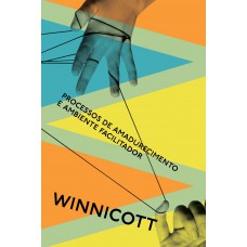 Processos de amadurecimento e ambiente facilitador Processos de amadurecimento e ambiente facilitador