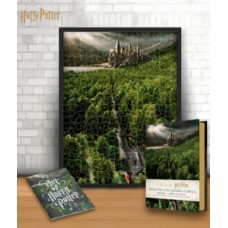 A arte de harry potter
