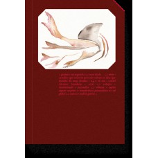 Sujeito suposto suspeito: Sujeito suposto suspeito: