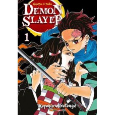 Box demon slayer vols. 1 ao 23