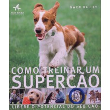 Como treinar um super cão