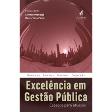 Excelência em gestão pública: espaços para atuação