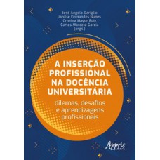 A inserção profissional na docência universitária