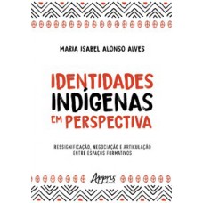 Identidades indígenas em perspectiva