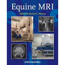 Equine MRI