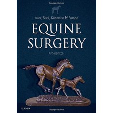 Equine Surgery