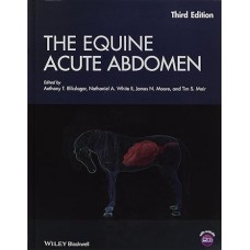 The equine acute abdome