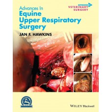 Advances in Equine Upper Respiratory Surgery