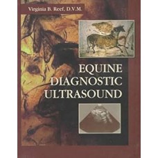 Equine Diagnostic Ultrasound