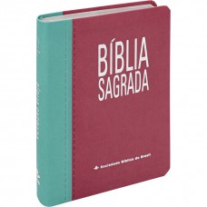 Bíblia Sagrada NAA Letra Gigante | Letra Gigante SBB