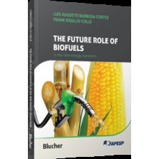 The future role of biofuels in the new energy transition