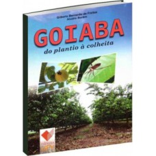 Goiaba do Plantio à Colheita