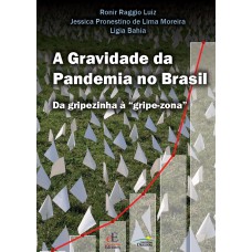 A Gravidade da Pandemia no Brasil