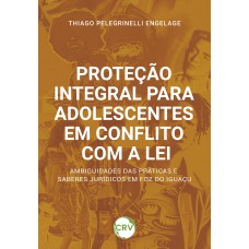 Proteção integral para adolescentes em conflito com a lei: Ambiguidades das práticas e saberes jurídicos em Foz do Iguaçu