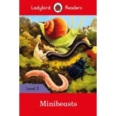 Minibeasts - 3