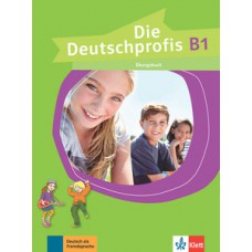 Die deutschprofis, übungsbuch - B1