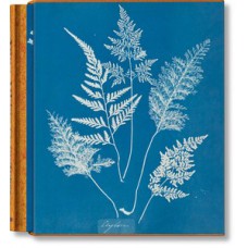 Anna Atkins, cyanotypes