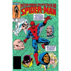 A Saga do Homem-Aranha 5 (29)