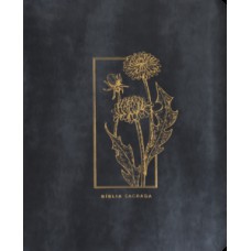 Bíblia Mulheres NVT - Uma Coluna Floral Grafite