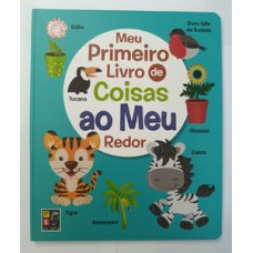 Meu primeiro livro - coisas ao meu redor