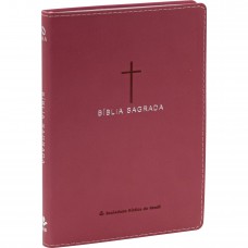 Bíblia Sagrada NAA Slim
