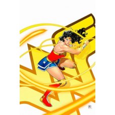Mulher-maravilha/flash (2025) 01