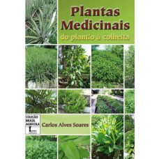 Plantas medicinais. do plantio à colheita