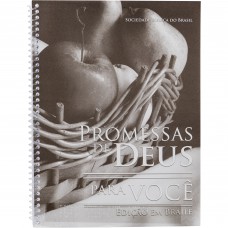 Promessas de Deus para você - Edição em braile