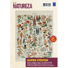 Adolphe Philippe Millot: Fleurs 1 - Superpôster Natureza