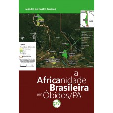 A africanidade brasileira em Óbidos/PA A africanidade brasileira em Óbidos/PA