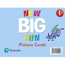 Big Fun Refresh Level 1 Picture Cards