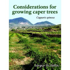 Considerations For Growing Caper Trees Considerations For Growing Caper Trees