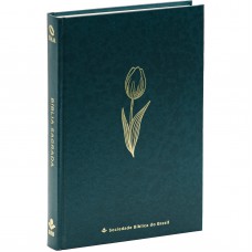 Bíblia NAA Mare Bíblia NAA Mare