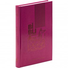 Bíblia NTLH, COLORS CP DURA DURA PINK