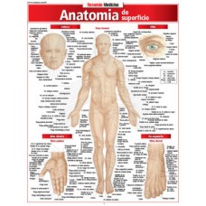 Anatomia de superfície Anatomia de superfície