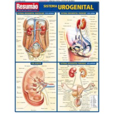 Sistema urogenital