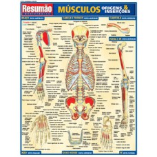 Músculos: origens e inserções Músculos: origens e inserções