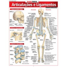 Articulações e ligamentos avançado