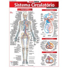 Sistema circulatório avançado