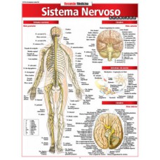 Sistema nervoso avançado