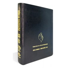 Bíblia Grande Harpa Cristã Econômica Letra Grande Preta (Pentecostes)
