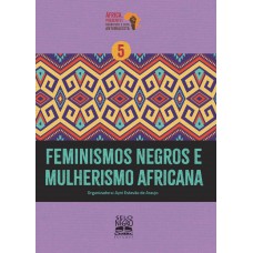 Feminismos negros e mulherismo africana Feminismos negros e mulherismo africana