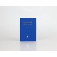 Agenda simples 2027 - azul Agenda simples 2027 - azul