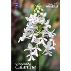 Calanthe - Mestre das Orquídeas - Volume 36